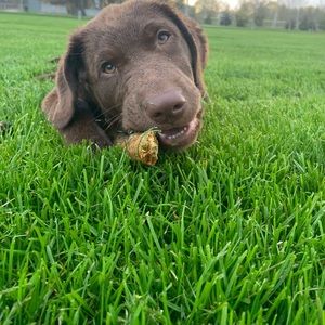 Meet your Posher, Leah